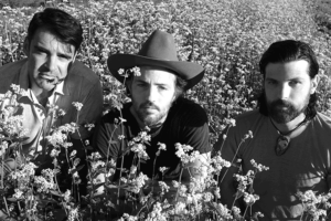 avett brothers to play saturday in the park 2022